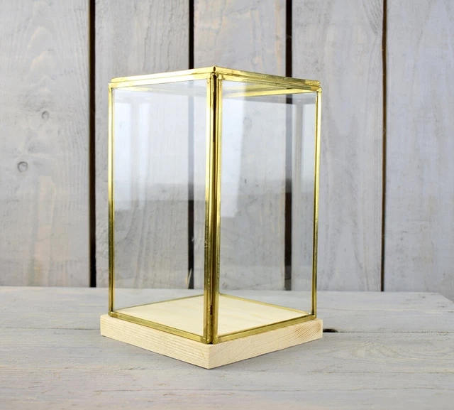 PH PandaHall Vitrine Dôme Verre Transparent 11,5x17 Cm – Base Bois Massif + Crochet Doré – Présentoir Montre De Poche, Médailles, Figurines, Collection