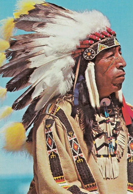 Vintage Postcard  INDIAN   SIOUX WARRIOR  "BLACK ELK"   UNPOSTED CHROME TRIMMED