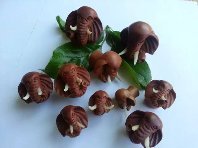1 Pair Organic Hand Carved  3D elephant SAWO Wood Ear Plugs Tunnel Gauges