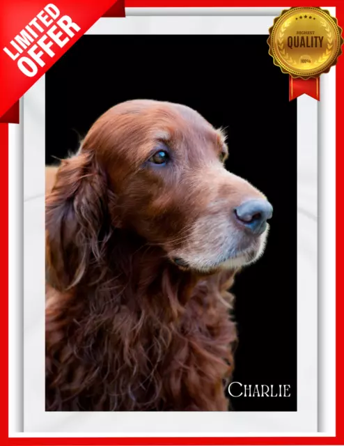 Irish Setter Custom Dog Throw Blanket Personalized Photo Gift 30x40 50x60 60x80