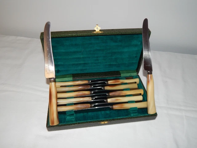 12 ANCIEN Grands COUTEAUX en CORNE Blanche de BOVIN avec COFFRET