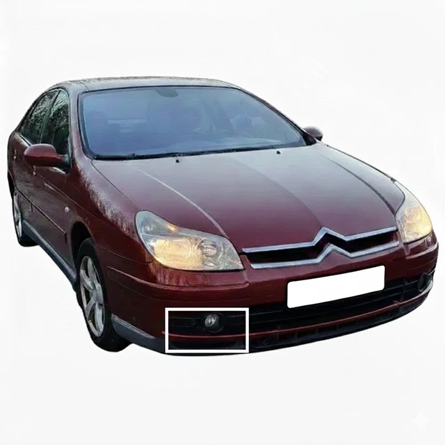 Grille Pare-Chocs Avant Gauche Noire Avec Trou Anti-Brouillard Peugeot 207 Depuis 2009 - Repiauto