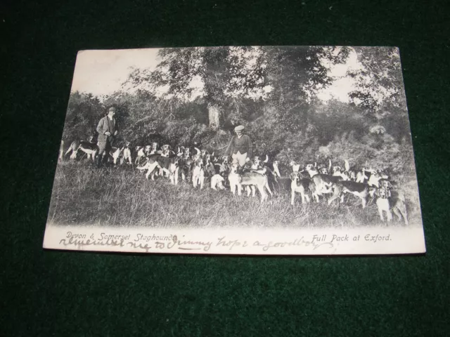 Vintage Postcard Exford Devon & Somerset Staghounds Hound Exercise Hunt Staff