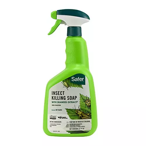 Safer Brand 5110-6 Insect Killing Soap, 32 Oz. 1 Pack
