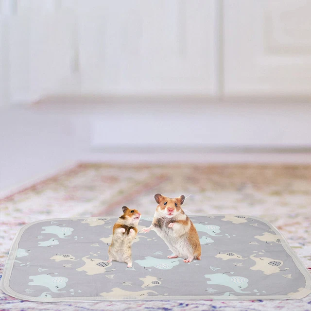 20 pz inserto gabbia per animali domestici inserto gabbia per ratti Pee Pad inserti gabbia per criceti