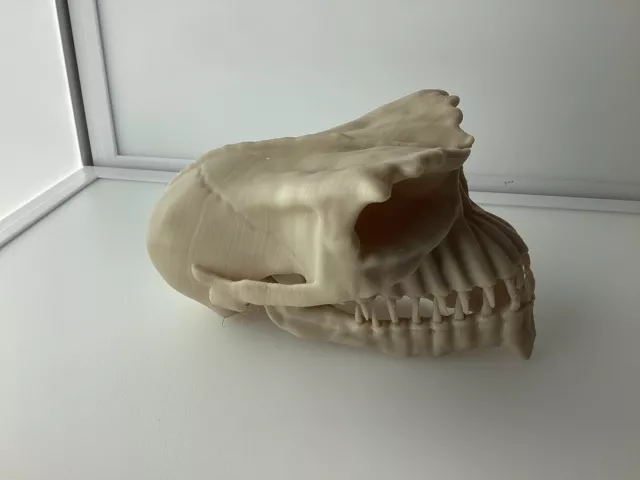 Gremlins Skull Life Sized Movie Prop Replica 3d Printed Bone White  Filament.