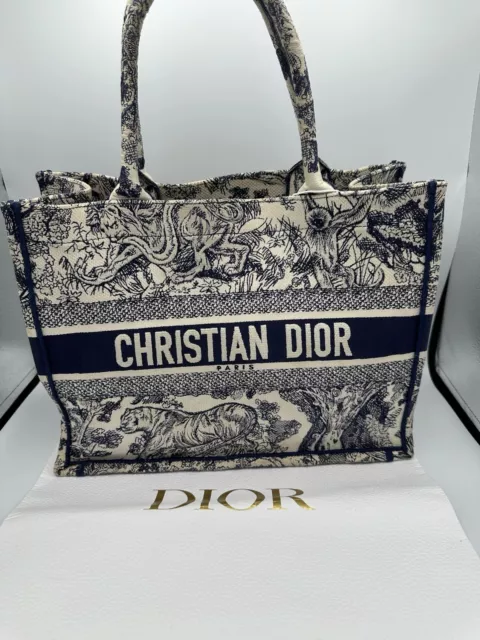 Dior book tote usata 2025