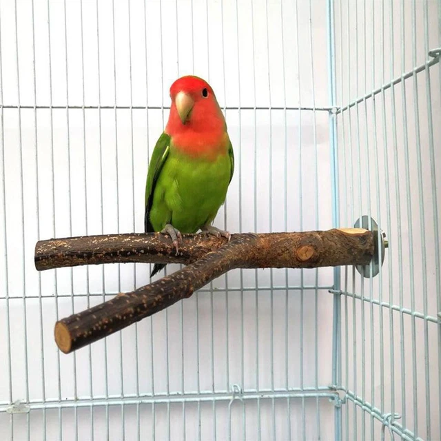 Holzpapagei Vogelstand  Ast Käfig Sitzstangen Haustier für Kleine Sittiche