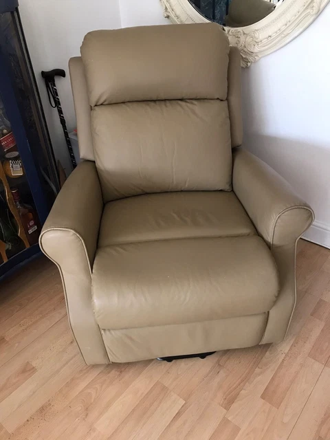 Roma Medical Luxury Willow Leather Reclining Chair with OEC2 Dual Motor