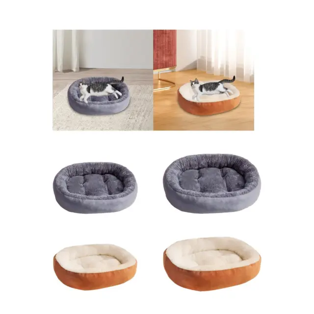 Lit pour chat d'intérieur, coussin de couchage pour animaux de compagnie,