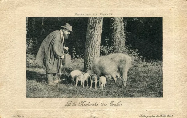 Carte Paysages de France A  la Recherche de Truffes