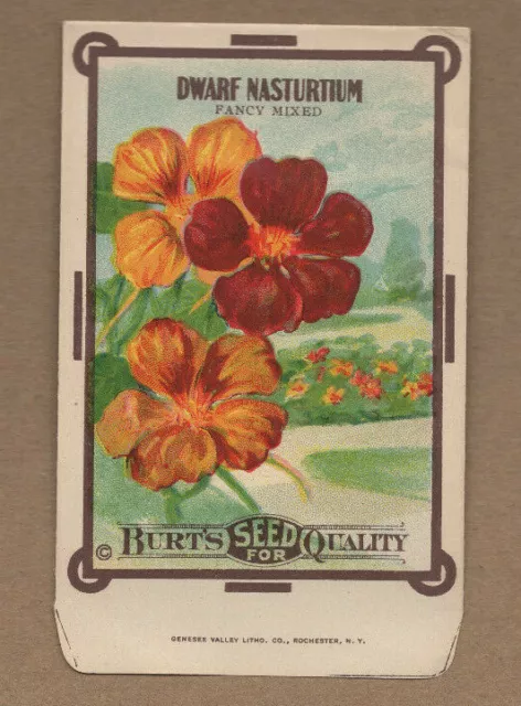Original Vintage 1910s Burt’s Dwarf Nasturtium Seed Packet Litho Unused