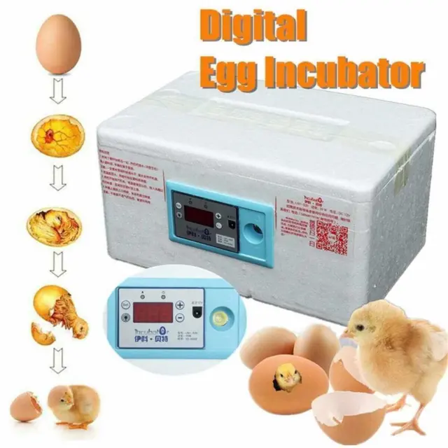 Automatic Digital Incubator Poultry Hatcher Temperature Control Brooder 20 Eggs