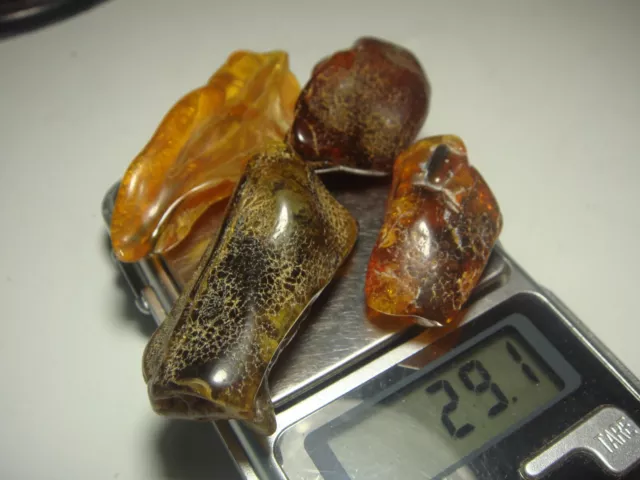 AMBER / raw baltic stones bernstein natural bursztyn POLISHED genuine 琥珀 (e449