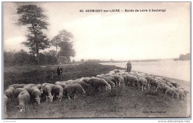 58 GERMIGNY SUR LOIRE - bords de la loire a� soulangy