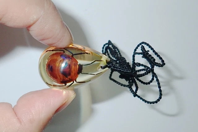 Insect Necklace SD07 Flower Bug Poecilocoris latus Specimen SD07 Amber Clear