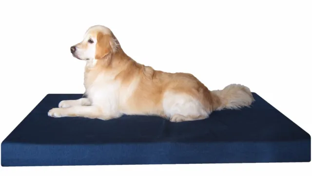 Heavy Duty Gel Memory Foam Dog Bed Waterproof Cover for Extra Large Pet 55x37x4