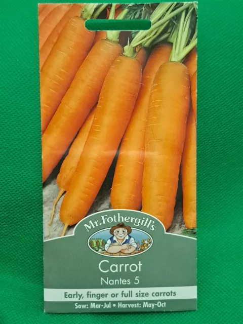 Carrot Nantes 5  2000 seeds    carrot seeds    vegetable seeds