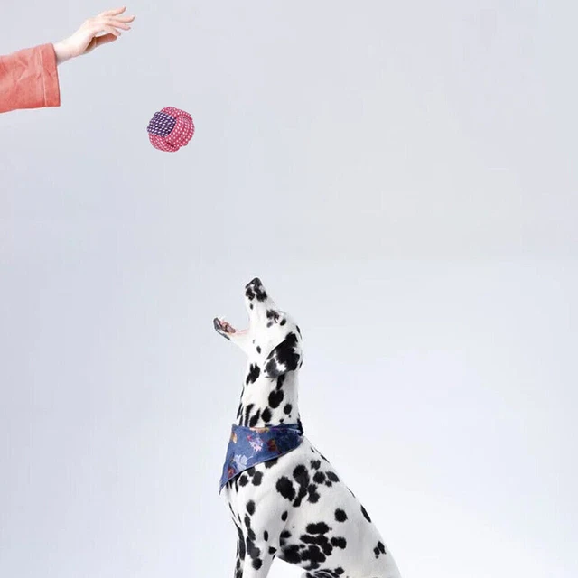 Hundespielzeug Set 15er Hund Welpen Kauen Baumwolle Seile Spielzeug für Haustier 10