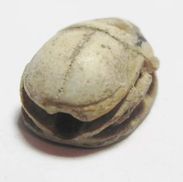 Zurqieh -Af2049-  Ancient Egypt - New Kingdom, 1400 B.c . Steatite Scarab 3