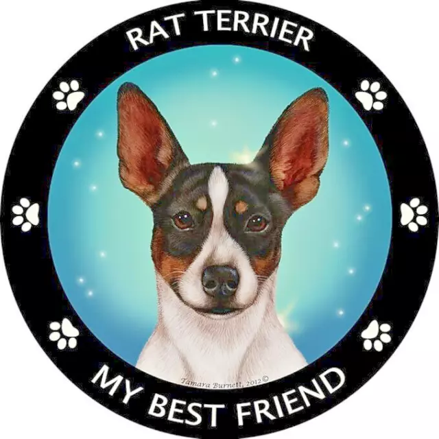 Limited Ed. RAT TERRIER PET DOG ANIMAL Pendant 925 Sterling Silver 22" Chain