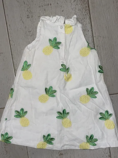 Toddler Girls Janie And Jack Embroidered Pineapple Sleeveless Dress 2T