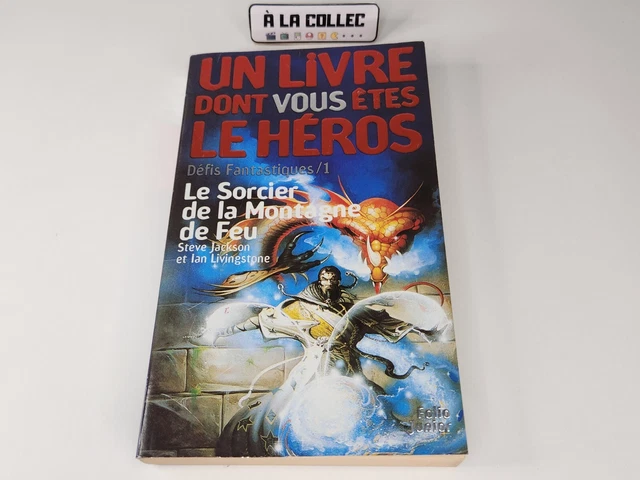 LE SORCIER DE la Montagne de Feu - Un Livre Dont Vous Etes Le Heros