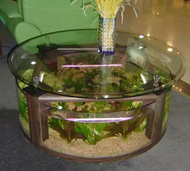 WARRANTY INCLUDED! 55 gallon GLASS round circle table aquarium fish tank WALNUT