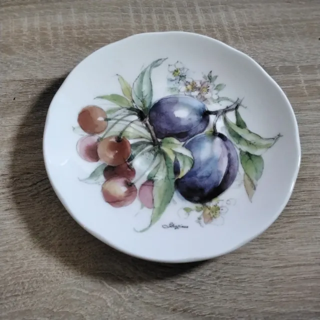 (392) Royal Nobilta Bone China Fruit Pattern  Cup And Saucer. (Brand New)