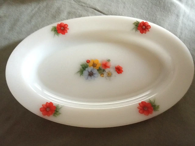 ② Plats Arcopal Exquis pour Toutes Vos Repas