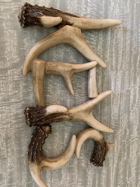 Faux Antler  Key Rack 9” X 5”