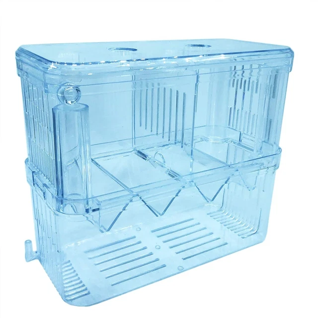Large Incubator Tank with Suction Cups for Breeding Baby Fish, Shrimp, and Betta