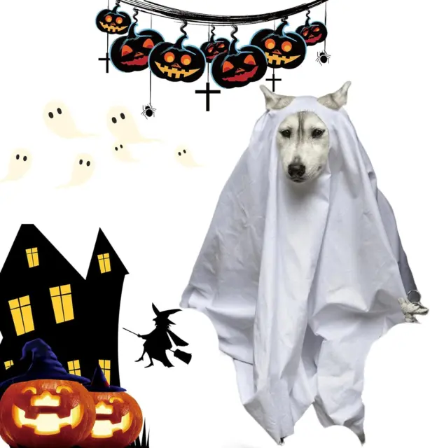 Costume Terribile per Cani: 100 Cm, per Animali Domestici, Halloween, per Gatti,