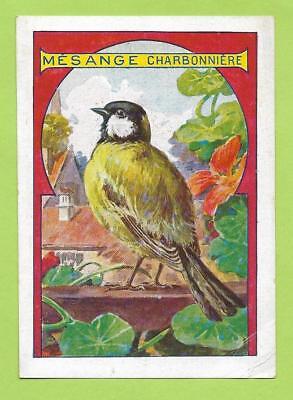 1955-1960 CHROMO GRANDE IMAGE ECOLE BON-POINT OISEAUX MESANGE BIRDS 
