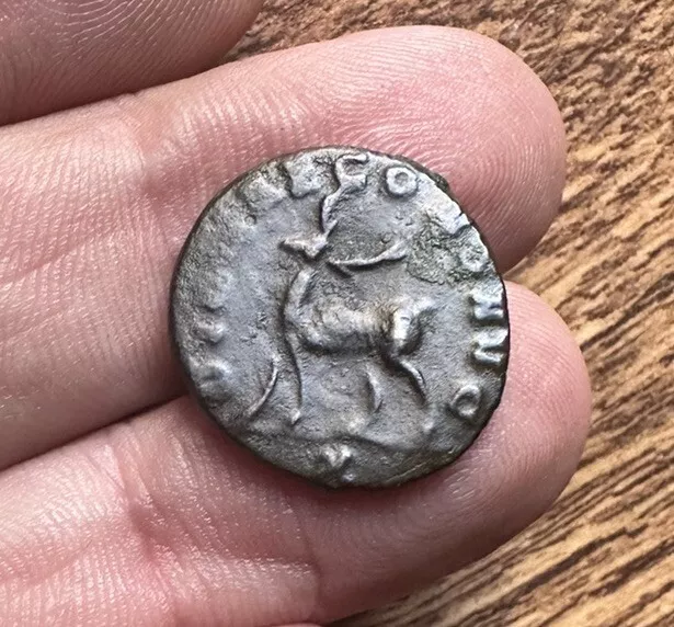 Ancient Roman Coin