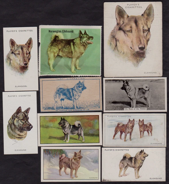 10 Different Vintage NORWEGIAN ELKHOUND Tobacco/Cigarette/Tea Dog Cards Lot