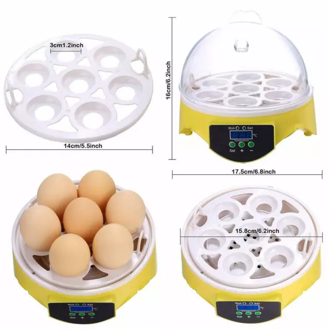 Digital 7 Egg Incubator Clear Chicken Poultry Bird Hatcher Temperature Control 3