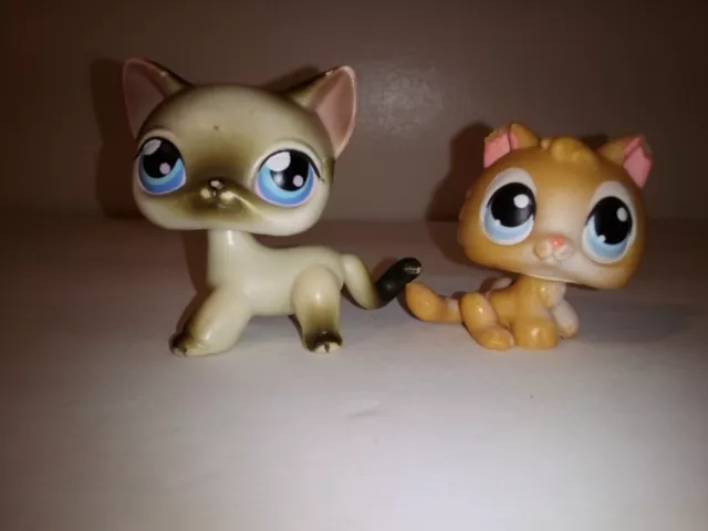 do you think LPS #1631 is worth this? : r/LittlestPetShop