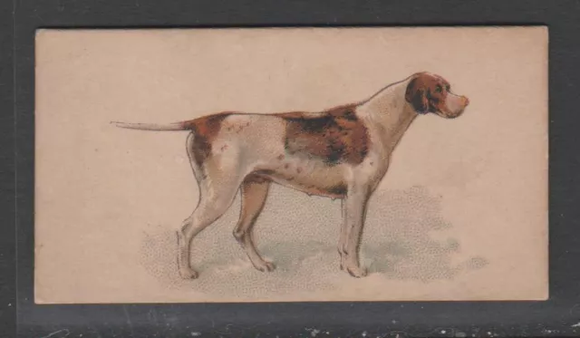 CIGARETTE CARDS Goodwin 1890 Dogs of the World - #35 Pointer