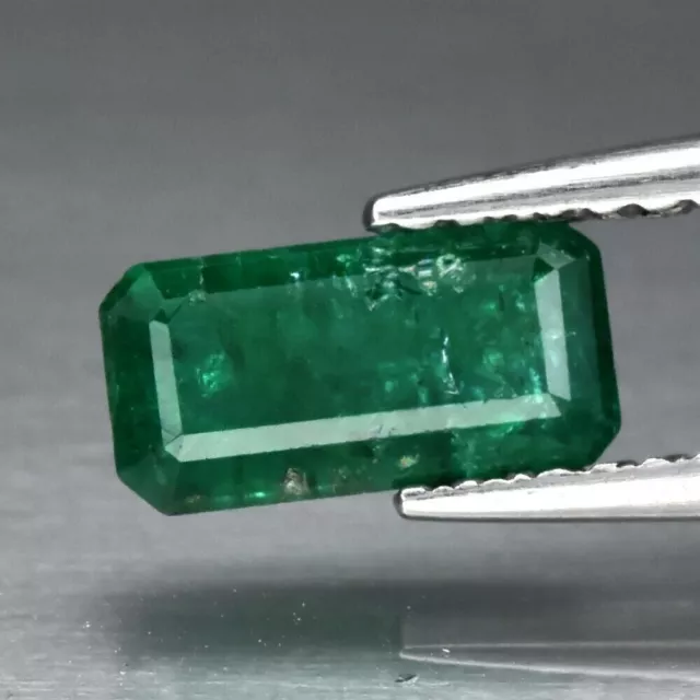 EMERALD 0.82 ct Green Octagon 9.0 x 6.7 x 3.6 mm Natural Only Oiled from Zambia