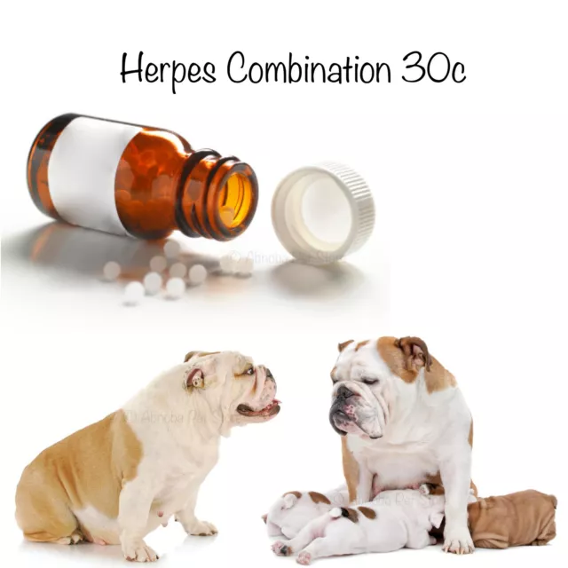 10g Herpes Combination for dogs 30c Homeopathic "Breeders Choice" Puppy Whelping