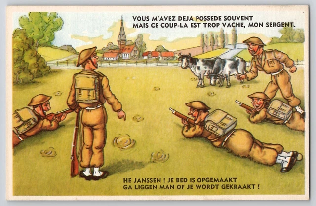 WW2 WWII BELGIAN Soldier Commanded Lay Down Cow Dung Humor Postcard ...