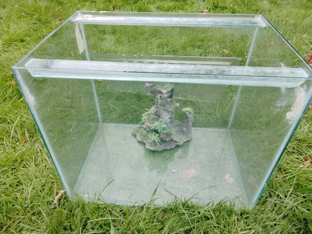 Small glass aquarium fish tank