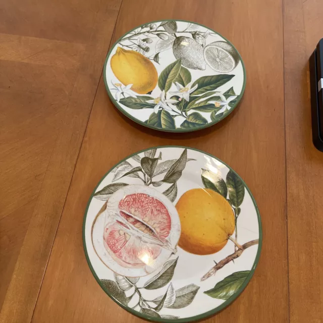 Williams Sonoma Botanical Citrus Salad Plates Set Of 2