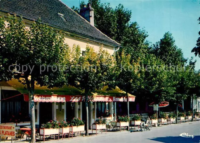 13243000 Verdun-sur-le-Doubs Hotel Restaurant Les Platanes