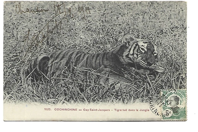 Carte Postale Ancienne Indochine - Cap Saint-Jacques (Vung Tau) - 1954