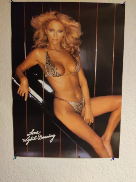 Original Hot Girl / Sybil Danning / Harry Langdon Vintage 1981 Poster 28” x 20”