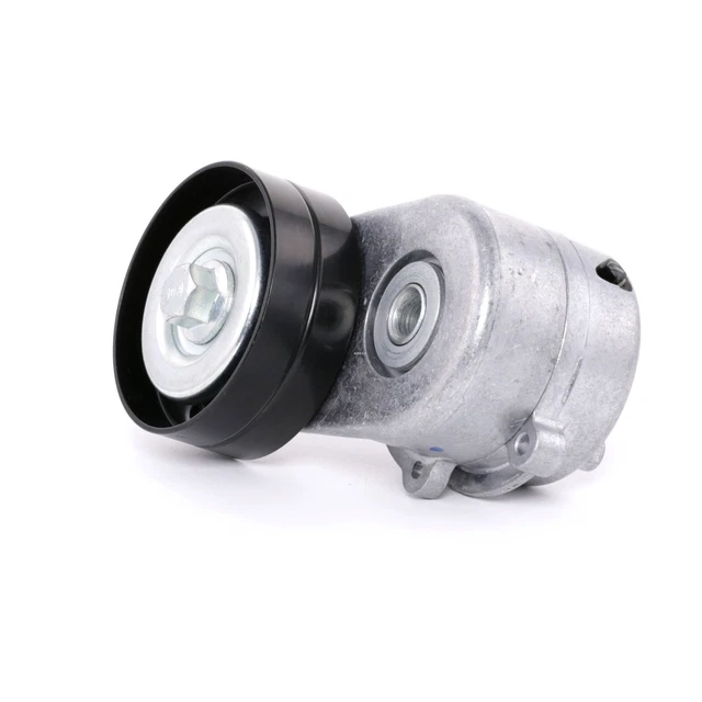 RIDEX Poulie-tendeur courroie trapézoïdale à nervures Galet tendeur 310T0053