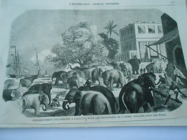 Gravure 1858 - Déparquement d'éléphants à Calcutta transport armée anglaise