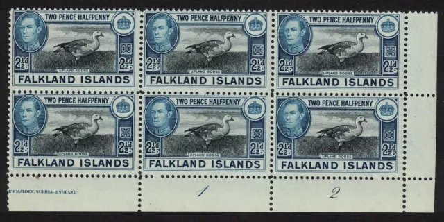 Falkland Is. Birds Upland Magellan Goose 2½d Plate Block of 6 1949 MNH